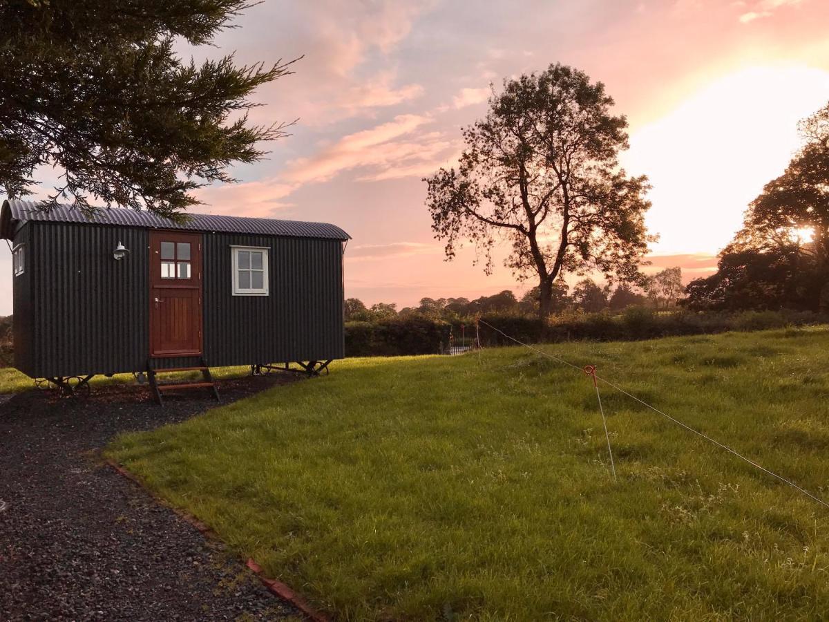 Sheelin Huts Blue, Hot-Tub Available From 1St April Until 1St November Villa Cavan Dış mekan fotoğraf